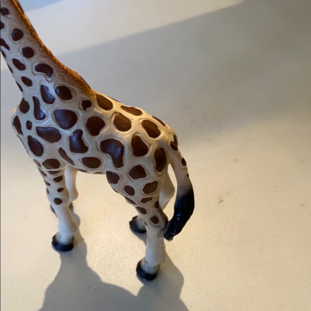 Small Giraffe - Picture 6 of 7